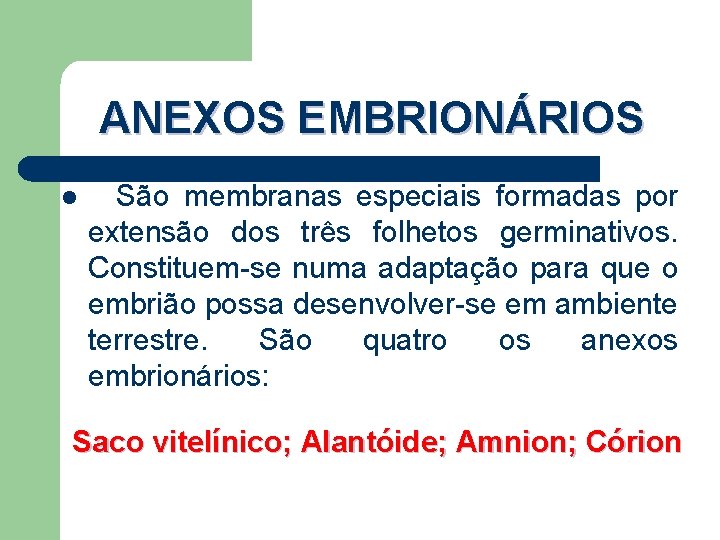 ANEXOS EMBRIONÁRIOS l São membranas especiais formadas por extensão dos três folhetos germinativos. Constituem-se