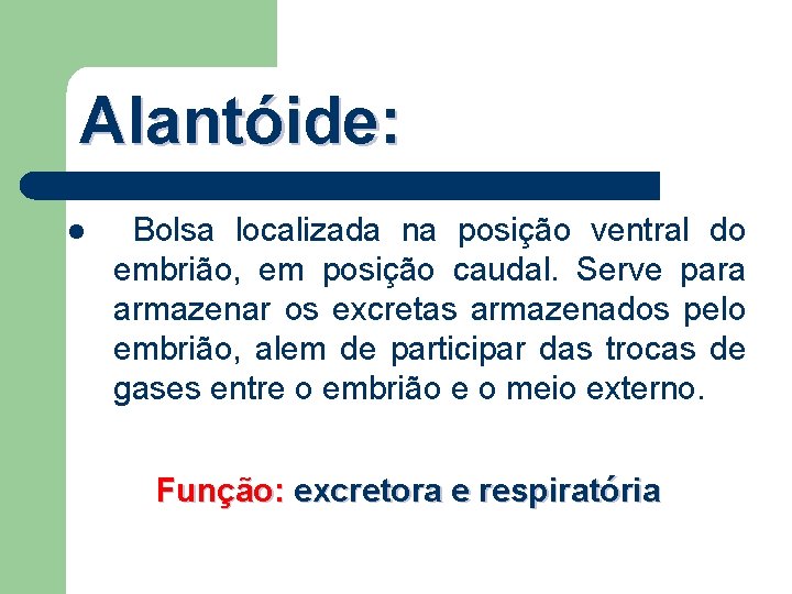 Alantóide: l Bolsa localizada na posição ventral do embrião, em posição caudal. Serve para