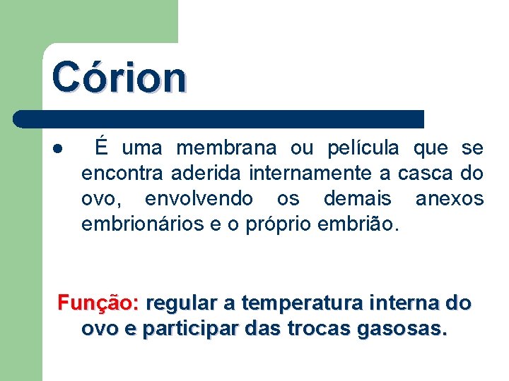 Córion l É uma membrana ou película que se encontra aderida internamente a casca