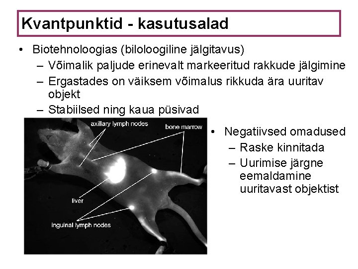 Kvantpunktid - kasutusalad • Biotehnoloogias (biloloogiline jälgitavus) – Võimalik paljude erinevalt markeeritud rakkude jälgimine