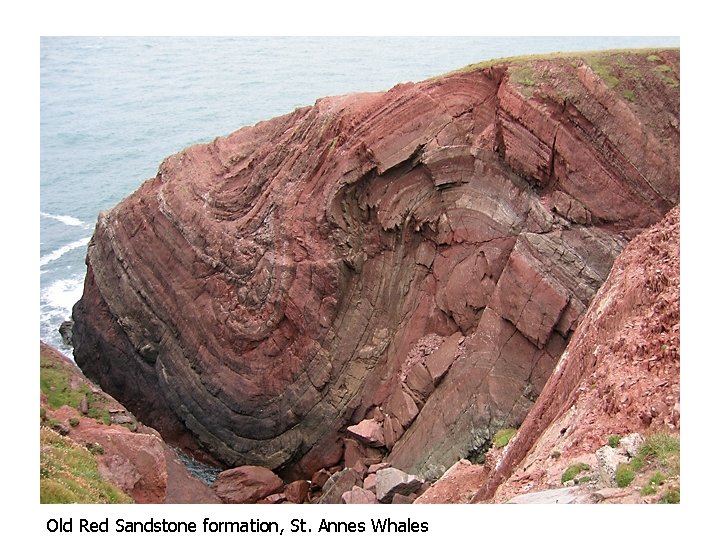 Old Red Sandstone formation, St. Annes Whales Old Red Sandstone formation, St. Annes Whales