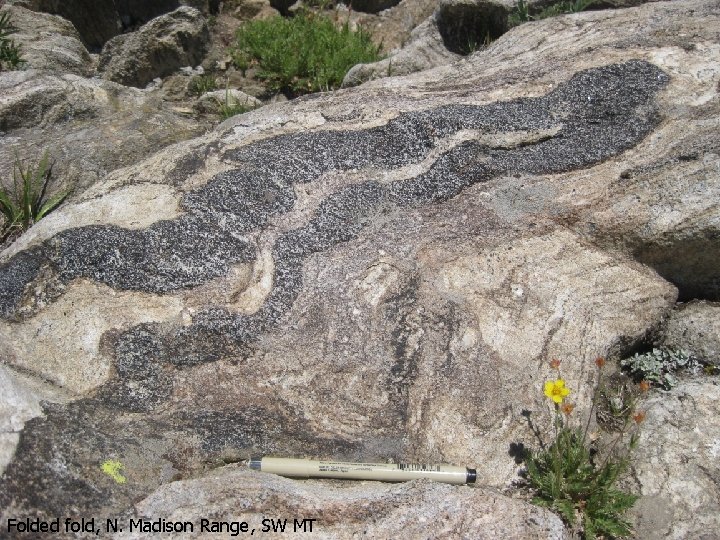 Folded fold, N. Madison Range, SW MT Folded fold, N. Madison Range, SW MT