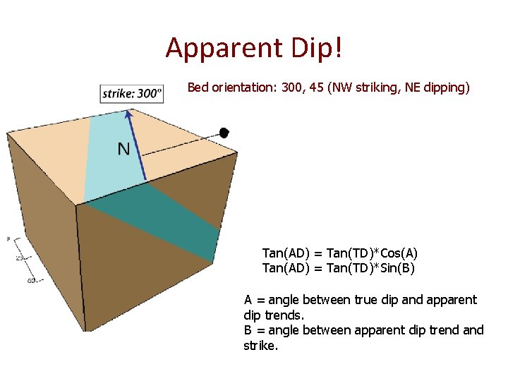 Apparent Dip! Bed orientation: 300, 45 (NW striking, NE dipping) Tan(AD) = Tan(TD)*Cos(A) Tan(AD) Apparent Dip! Bed orientation: 300, 45 (NW striking, NE dipping) Tan(AD) = Tan(TD)*Cos(A) Tan(AD)