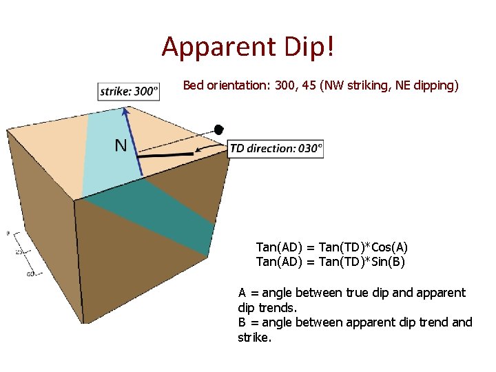 Apparent Dip! Bed orientation: 300, 45 (NW striking, NE dipping) Tan(AD) = Tan(TD)*Cos(A) Tan(AD) Apparent Dip! Bed orientation: 300, 45 (NW striking, NE dipping) Tan(AD) = Tan(TD)*Cos(A) Tan(AD)