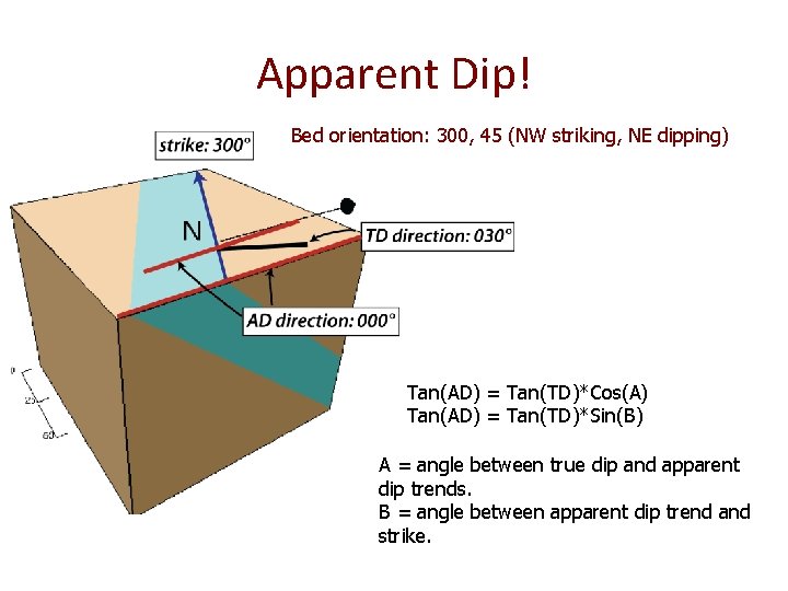 Apparent Dip! Bed orientation: 300, 45 (NW striking, NE dipping) Tan(AD) = Tan(TD)*Cos(A) Tan(AD) Apparent Dip! Bed orientation: 300, 45 (NW striking, NE dipping) Tan(AD) = Tan(TD)*Cos(A) Tan(AD)