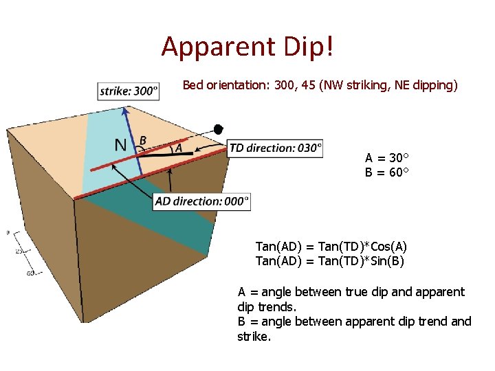 Apparent Dip! Bed orientation: 300, 45 (NW striking, NE dipping) A = 30° B Apparent Dip! Bed orientation: 300, 45 (NW striking, NE dipping) A = 30° B