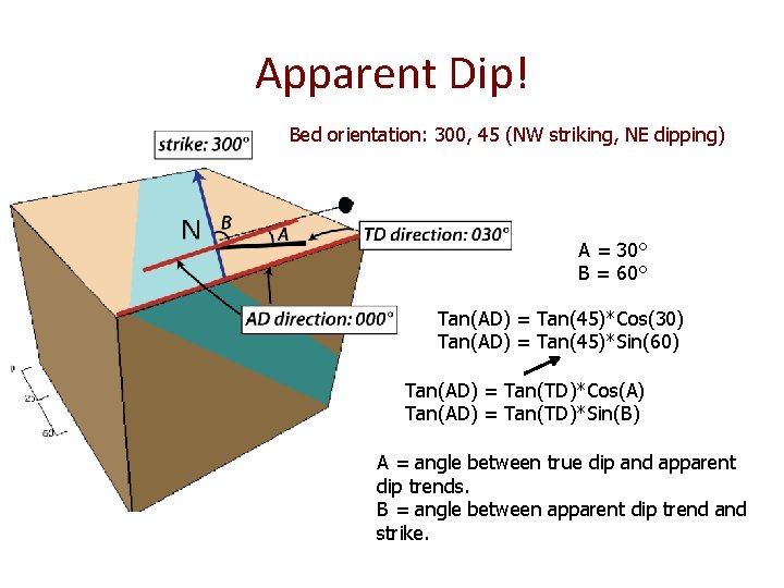 Apparent Dip! Bed orientation: 300, 45 (NW striking, NE dipping) A = 30° B Apparent Dip! Bed orientation: 300, 45 (NW striking, NE dipping) A = 30° B