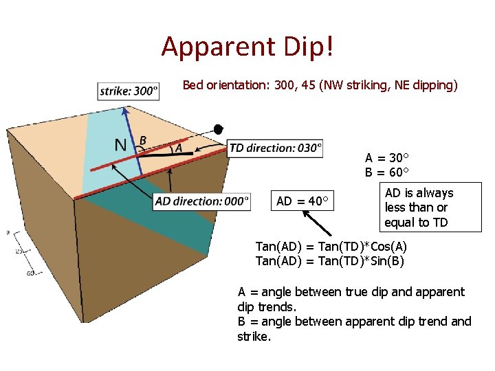 Apparent Dip! Bed orientation: 300, 45 (NW striking, NE dipping) A = 30° B Apparent Dip! Bed orientation: 300, 45 (NW striking, NE dipping) A = 30° B