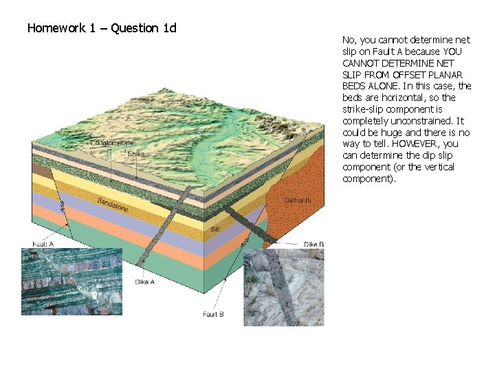 Homework 1 – Question 1 d No, you cannot determine net slip on Fault Homework 1 – Question 1 d No, you cannot determine net slip on Fault