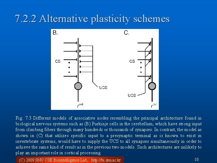 7. 2. 2 Alternative plasticity schemes Fig. 7. 3 Different models of associative nodes