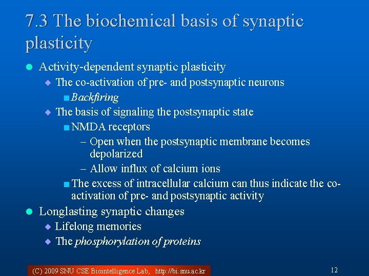 7. 3 The biochemical basis of synaptic plasticity l Activity-dependent synaptic plasticity ¨ The