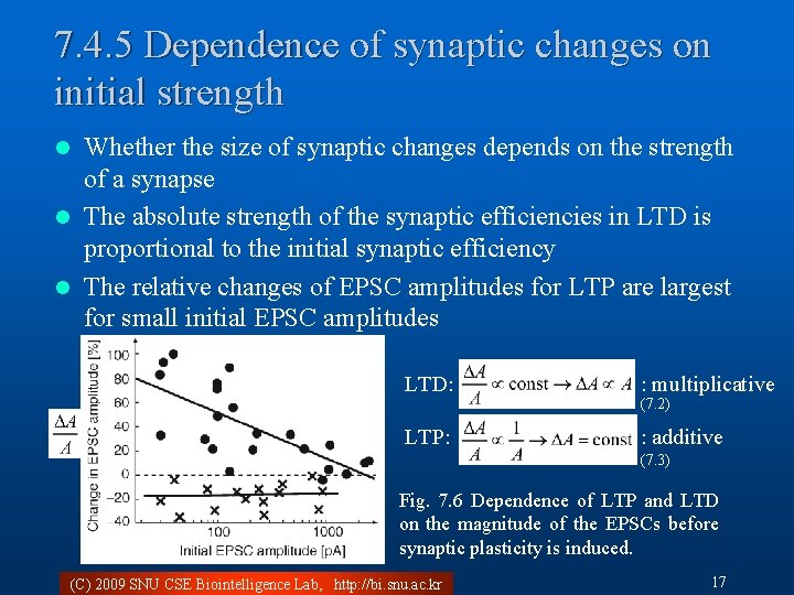 7. 4. 5 Dependence of synaptic changes on initial strength Whether the size of