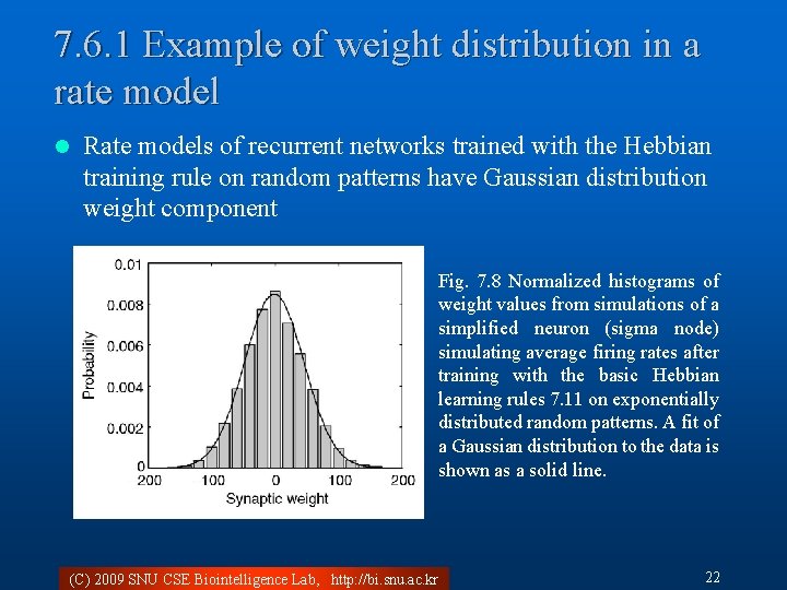 7. 6. 1 Example of weight distribution in a rate model l Rate models