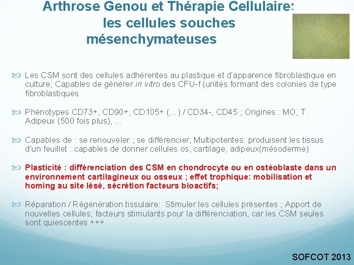 Arthrose Genou et Thérapie Cellulaire: les cellules souches mésenchymateuses Les CSM sont des