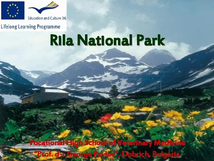 Rila National Park Vocational High School of Veterinary Medicine “Prof. d-r George Pavlov”, Dobrich,