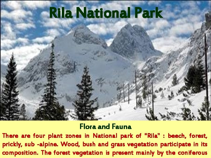 Rila National Park Flora and Fauna There are four plant zones in National park