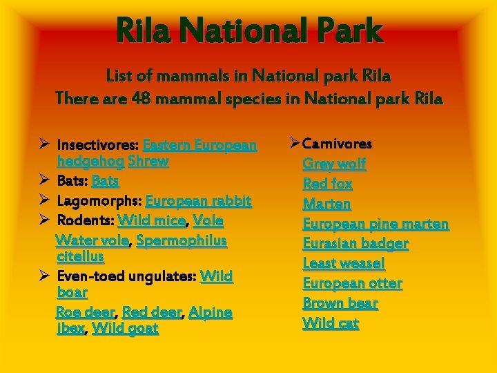 Rila National Park List of mammals in National park Rila There are 48 mammal