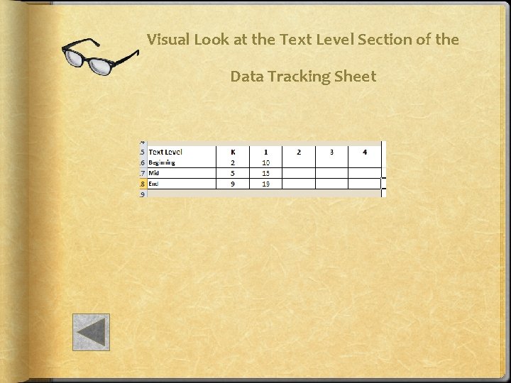 Visual Look at the Text Level Section of the Data Tracking Sheet 