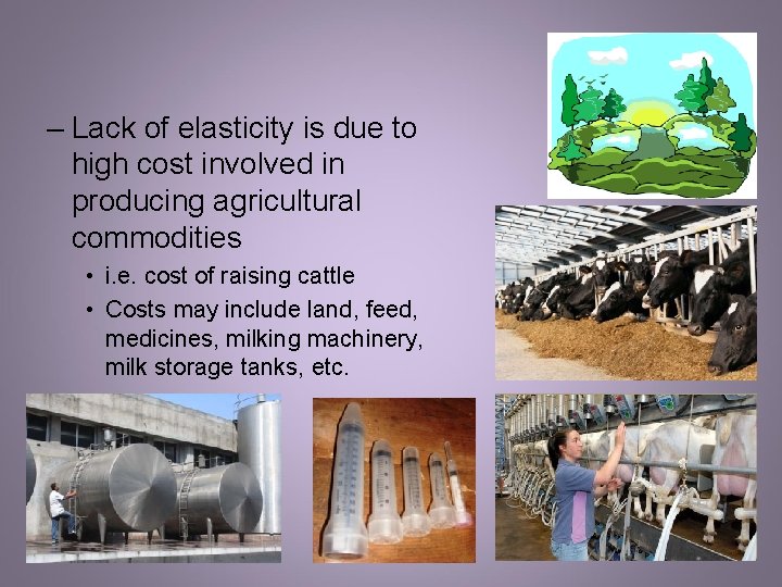 – Lack of elasticity is due to high cost involved in producing agricultural commodities – Lack of elasticity is due to high cost involved in producing agricultural commodities
