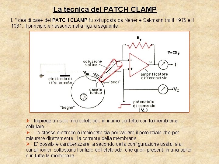 La tecnica del PATCH CLAMP L "idea di base del PATCH CLAMP fu sviluppata