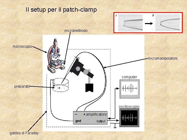 Il setup per il patch-clamp microelettrodo microscopio micromanipolatore computer preparato oscilloscopio amplificatore gabbia di