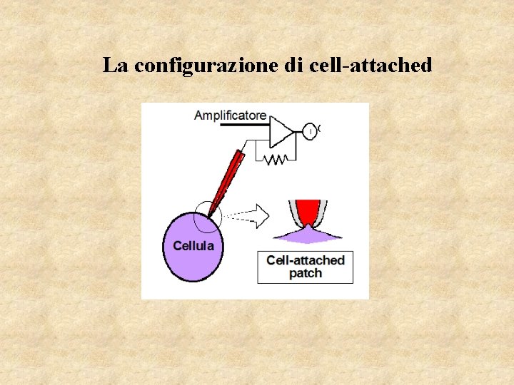 La configurazione di cell-attached 