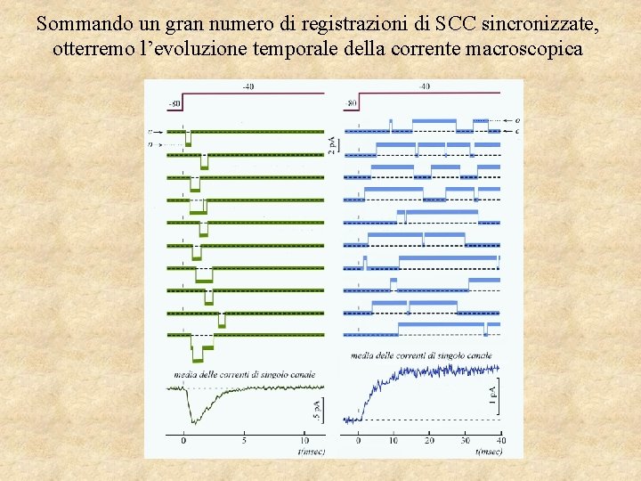 Sommando un gran numero di registrazioni di SCC sincronizzate, otterremo l’evoluzione temporale della corrente