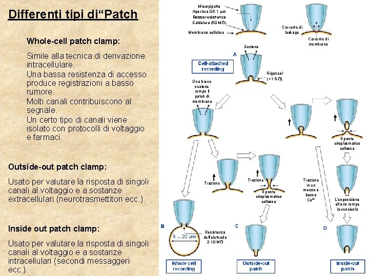 Differenti tipi di“Patch Micropipetta Apertura 0. 5 -1 mm Bassa resistenza Saldatura (50 MW)
