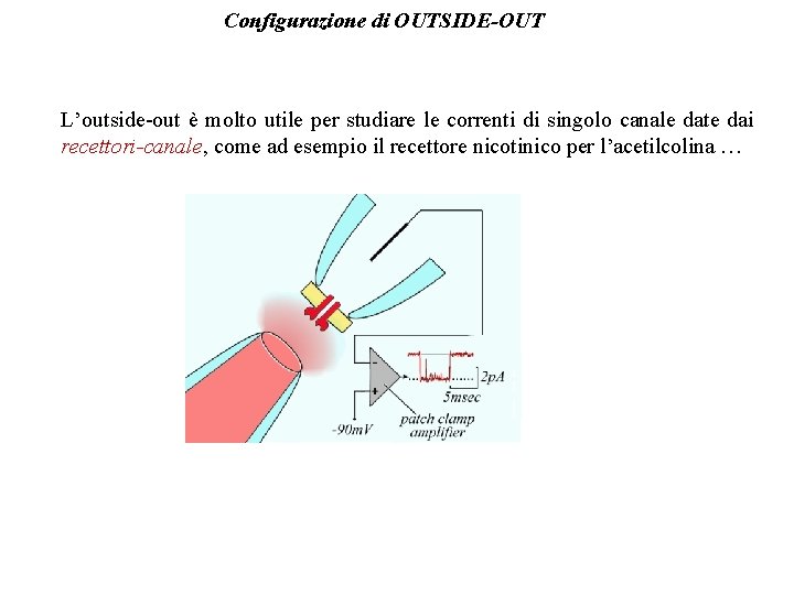 Configurazione di OUTSIDE-OUT L’outside-out è molto utile per studiare le correnti di singolo canale