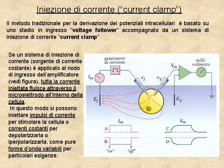 Iniezione di corrente (“current clamp”) Il metodo tradizionale per la derivazione dei potenziali intracellulari