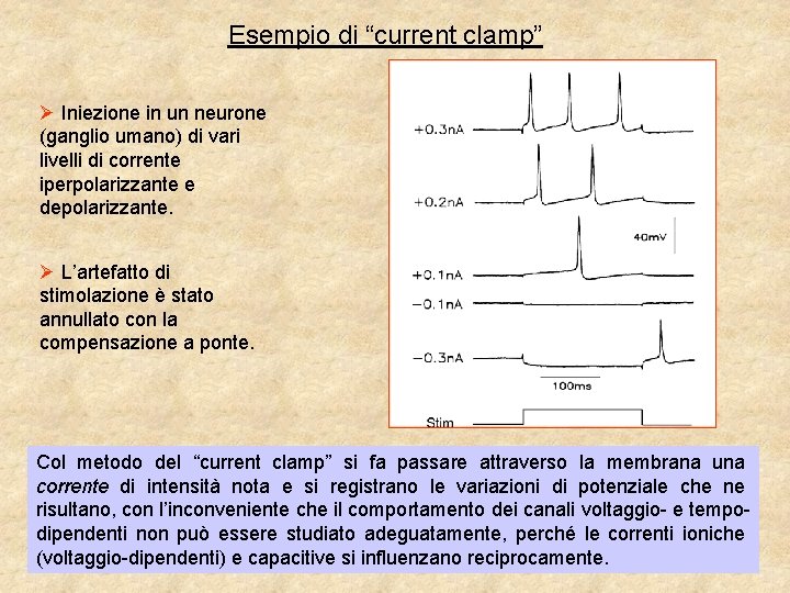 Esempio di “current clamp” Ø Iniezione in un neurone (ganglio umano) di vari livelli