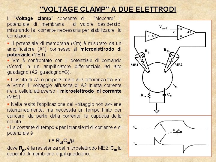 "VOLTAGE CLAMP" A DUE ELETTRODI Il “Voltage clamp” consente di “bloccare” il potenziale di