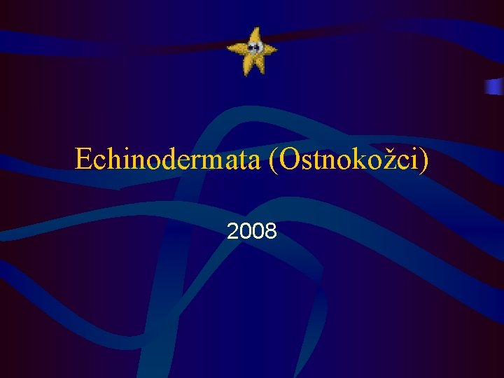 Echinodermata (Ostnokožci) 2008 