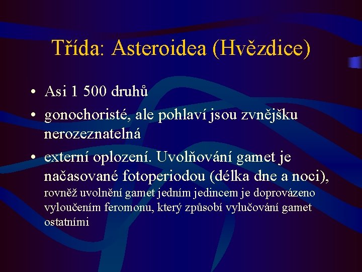 Třída: Asteroidea (Hvězdice) • Asi 1 500 druhů • gonochoristé, ale pohlaví jsou zvnějšku