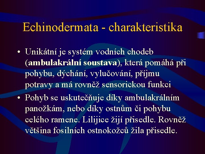 Echinodermata - charakteristika • Unikátní je systém vodních chodeb (ambulakrální soustava), která pomáhá při