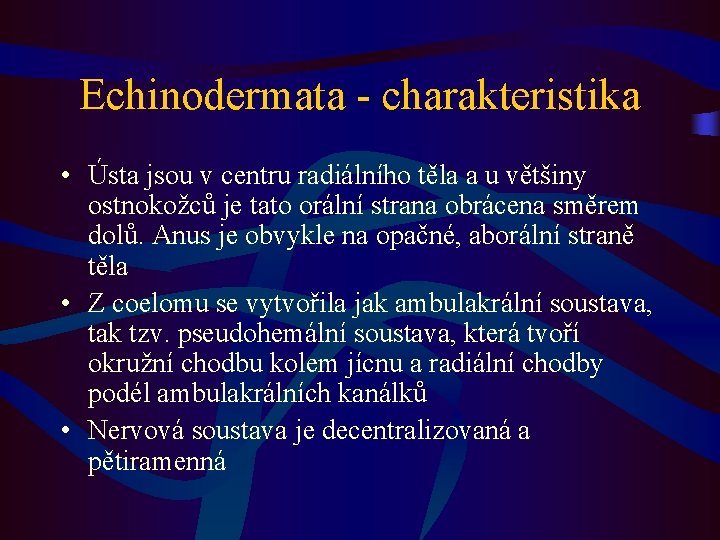 Echinodermata - charakteristika • Ústa jsou v centru radiálního těla a u většiny ostnokožců