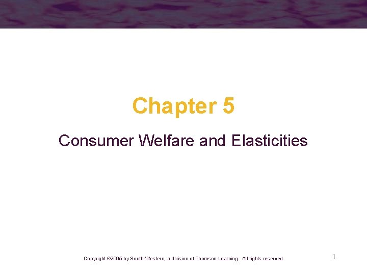 Chapter 5 Consumer Welfare and Elasticities Copyright © 2005 by South-Western, a division of