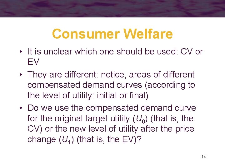 Consumer Welfare • It is unclear which one should be used: CV or EV