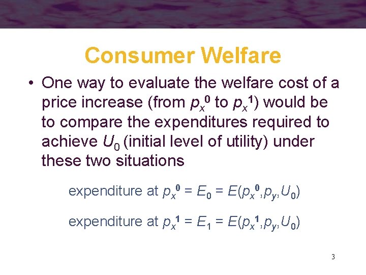 Consumer Welfare • One way to evaluate the welfare cost of a price increase