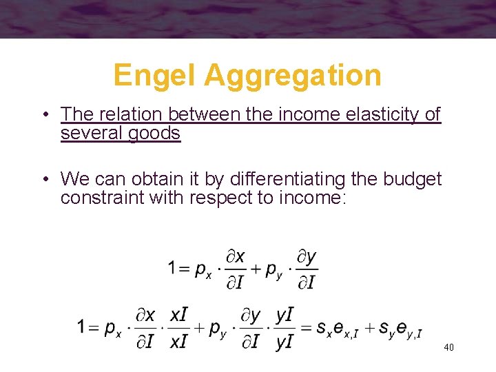 Engel Aggregation • The relation between the income elasticity of several goods • We