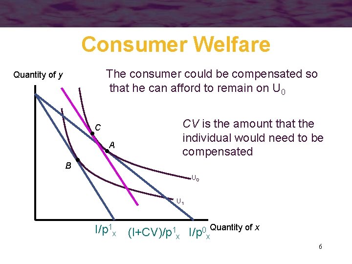 Consumer Welfare The consumer could be compensated so that he can afford to remain