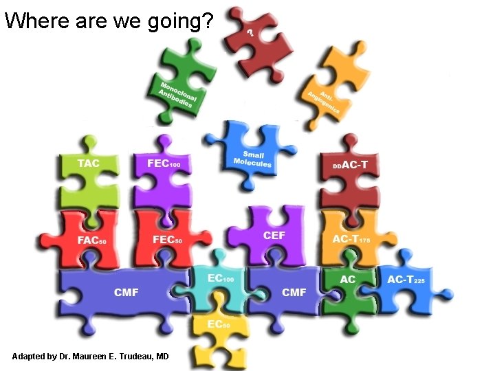 Where are we going? Adapted by Dr. Maureen E. Trudeau, MD 