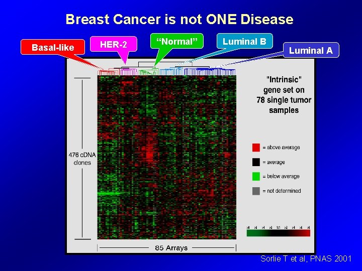 Breast Cancer is not ONE Disease Basal-like HER-2 “Normal” Luminal B Luminal A Sorlie