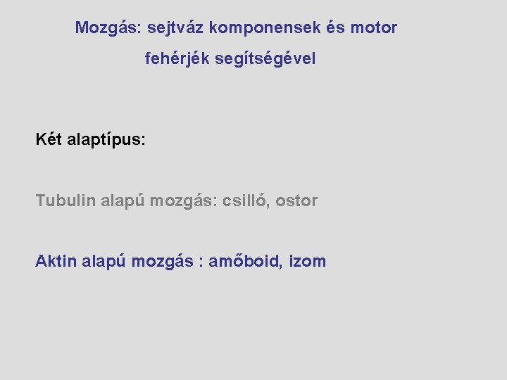 Mozgás: sejtváz komponensek és motor fehérjék segítségével Két alaptípus: Tubulin alapú mozgás: csilló, ostor