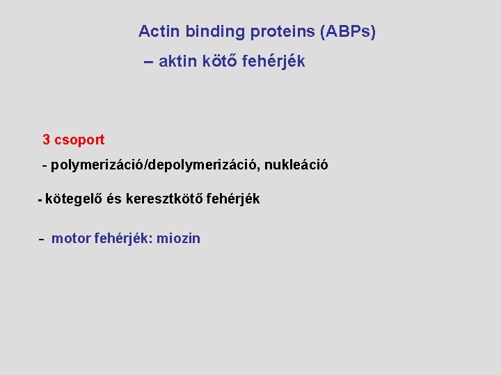 Actin binding proteins (ABPs) – aktin kötő fehérjék 3 csoport - polymerizáció/depolymerizáció, nukleáció -