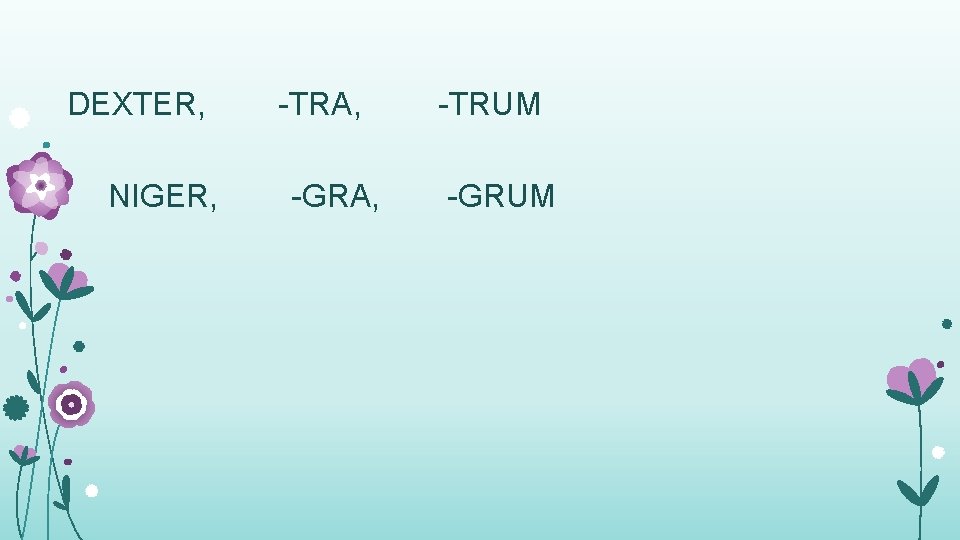 DEXTER, NIGER, -TRA, -GRA, -TRUM -GRUM 