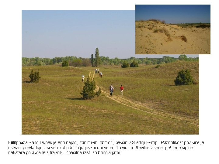 Fülöpháza Sand Dunes je eno najbolj zanimivih območij peščin v Srednji Evropi Raznolikost površine