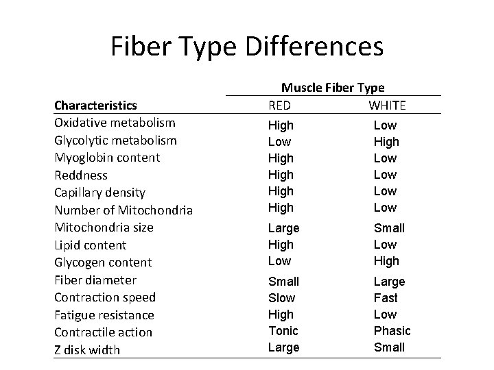 Fiber Type Differences Characteristics Oxidative metabolism Glycolytic metabolism Myoglobin content Reddness Capillary density Number