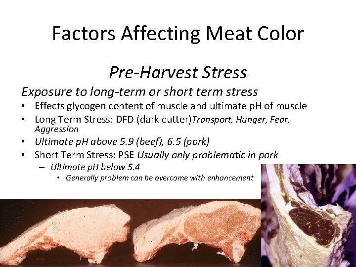 Factors Affecting Meat Color Pre-Harvest Stress Exposure to long-term or short term stress •