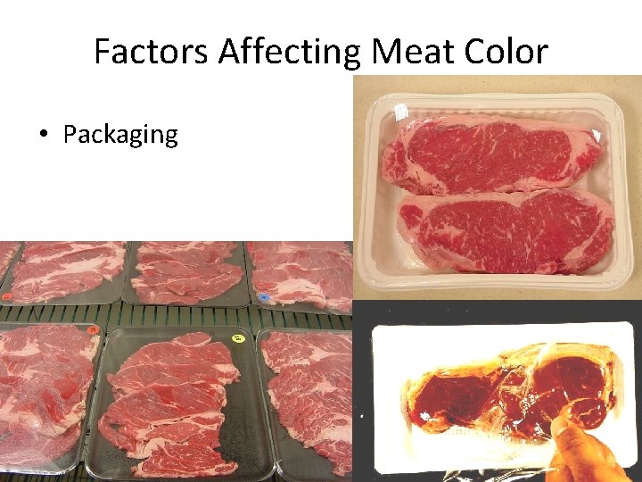 Factors Affecting Meat Color • Packaging 